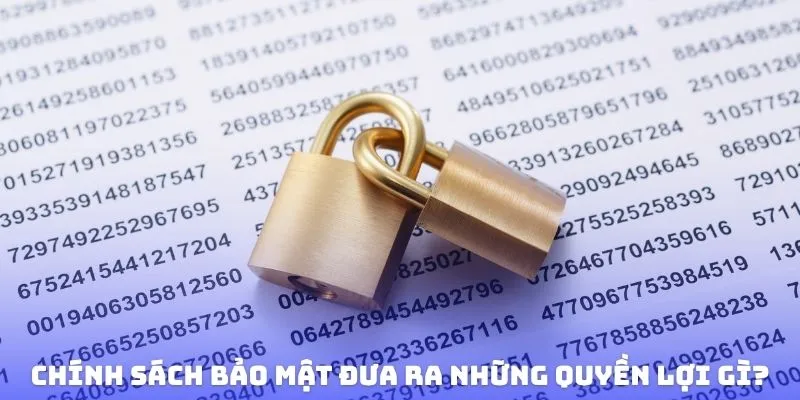 Chính sách bảo mật đưa ra những quyền lợi gì?